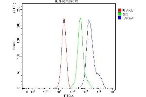 Flow Cytometry analysis of ANA-1 cells using anti-Fanca/FAA antibody (ABIN7599897). (FANCA antibody  (AA 1272-1439))