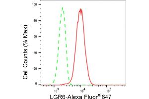 Flow cytometric analysis of LGR6 expression in HepG2 cells using LGR6 antibody (ABIN7799255), 1:2,000). (Recombinant LGR6 antibody)
