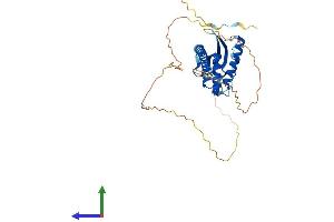 AlphaFold protein structure predicition of Human Recombinant SNX16 Protein, UniprotID P57768 (SNX16 Protein (AA 1-344) (His tag))