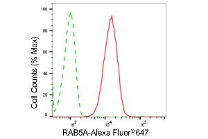 Flow cytometric analysis of RAB5A expression in HepG2 cells using RAB5A antibody (ABIN7800098), 1:2,000). (Recombinant RAB5 antibody)