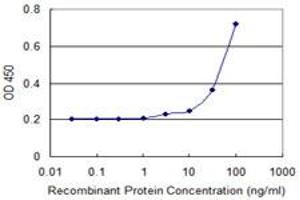 Detection limit for recombinant GST tagged WSB1 is 10 ng/ml as a capture antibody. (WSB1 antibody  (AA 53-137))