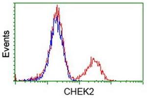 Flow Cytometry (FACS) image for anti-Checkpoint Kinase 2 (CHEK2) antibody (ABIN1497498) (CHEK2 antibody)