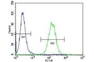 Vimentin antibody flow cytometric analysis of A549 cells (right histogram) compared to a negative control (left histogram). (Vimentin antibody)