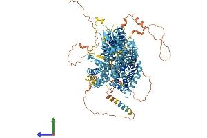 AlphaFold protein structure predicition of Human Recombinant SLC4A8 Protein, UniprotID Q2Y0W8 (SLC4A8 Protein (AA 1-1093) (His tag))