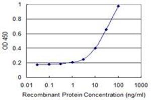 Detection limit for recombinant GST tagged ZIC4 is 0. (ZIC4 antibody  (AA 1-90))