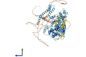 AlphaFold protein structure predicition of Mouse Recombinant Smarcad1 Protein, UniprotID Q04692