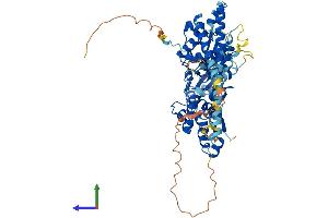 Protein Structure (PS) image for ARP5 Actin-Related Protein 5 Homolog (ACTR5) (AA 1-605) protein (His tag) (ABIN7558339)