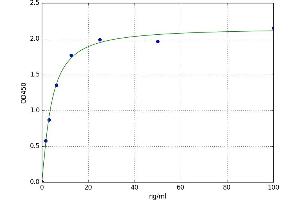 A typical standard curve