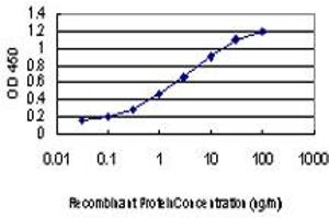 Detection limit for recombinant GST tagged PRKCD is approximately 0. (PKC delta antibody  (AA 577-676))