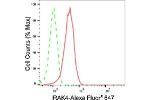 Flow cytometric analysis of IRAK4 expression in HT- cells using IRAK4 antibody (ABIN7799116), 1:2,000).