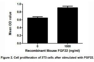 FGF22 (Fibroblast growth factor 22) is a member of the fibroblast growth factor (FGF) family. (FGF22 Protein (AA 26-162) (His tag))