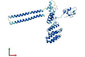 Protein Structure (PS) image for Required For Meiotic Nuclear Division 5 Homolog A (RMND5A) (AA 1-391) protein (His tag) (ABIN7551480)