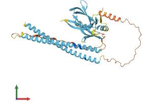 AlphaFold protein structure predicition of Mouse Recombinant Snap47 Protein, UniprotID Q8R570