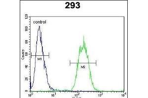 SACA1 Antibody (N-term) (ABIN654730 and ABIN2844418) flow cytometric analysis of 293 cells (right histogram) compared to a negative control cell (left histogram). (SPACA1 antibody  (N-Term))