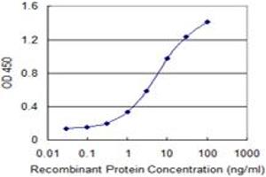 Detection limit for recombinant GST tagged DCLK1 is 0. (DCLK1 antibody  (AA 640-729))
