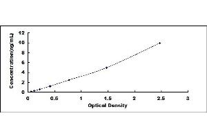 Typical standard curve (Cathepsin G ELISA Kit)