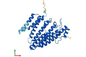 AlphaFold protein structure predicition of Human Recombinant ICMT Protein, UniprotID O60725 (ICMT Protein (AA 1-284) (His tag))