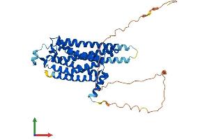 Protein Structure (PS) image for Adenosine A2a Receptor (ADORA2A) (AA 1-412) protein (His tag) (ABIN7551750)