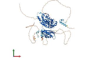 AlphaFold protein structure predicition of Mouse Recombinant Poli Protein, UniprotID Q6R3M4