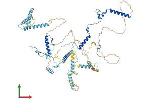 AlphaFold protein structure predicition of Mouse Recombinant Mphosph10 Protein, UniprotID Q810V0