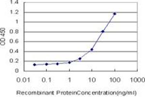 Detection limit for recombinant GST tagged STAT5B is approximately 0. (STAT5B antibody  (AA 678-787))