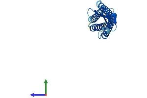 AlphaFold protein structure predicition of Human Recombinant TMEM37 Protein, UniprotID Q8WXS4