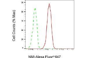 Flow cytometric analysis of NMI expression in HT- cells using NMI antibody (ABIN7799535), 1:2,000). (Recombinant NMI antibody)