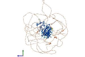 Protein Structure (PS) image for Homeodomain Interacting Protein Kinase 2 (HIPK2) (AA 1-1196) protein (His tag) (ABIN7565169)