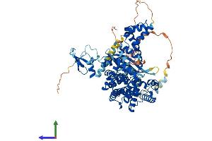 AlphaFold protein structure predicition of Human Recombinant ZBED1 Protein, UniprotID O96006 (ZBED1 Protein (AA 1-694) (His tag))