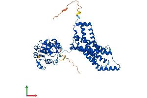 AlphaFold protein structure predicition of Human Recombinant STEAP2 Protein, UniprotID Q8NFT2 (STEAP2 Protein (AA 1-490) (His tag))