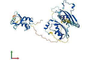 AlphaFold protein structure predicition of Mouse Recombinant Smarcb1 Protein, UniprotID Q9Z0H3