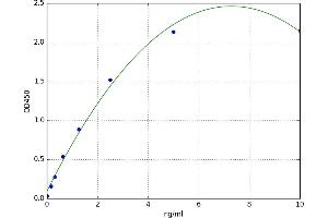 phosphoenolpyruvate Carboxykinase 2 (Mitochondrial) (PEPCK) ELISA Kit