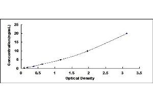 Typical standard curve (CRP ELISA Kit)