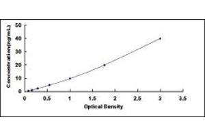 Typical standard curve (IGF2 ELISA Kit)