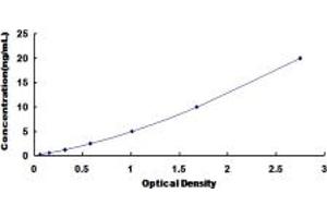 Typical standard curve (COX3 ELISA Kit)