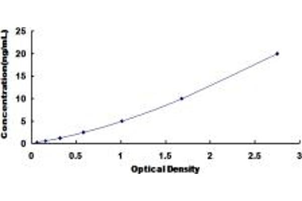 COX3 ELISA Kit