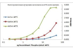 ELISA of Mouse Monoclonal anti-AKT3 antibody.
