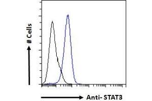ABIN184593 Flow cytometric analysis of paraformaldehyde fixed A431 cells (blue line), permeabilized with 0.