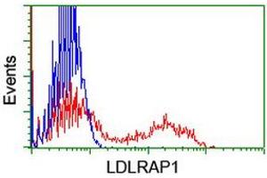 Flow Cytometry (FACS) image for anti-Low Density Lipoprotein Receptor Adaptor Protein 1 (LDLRAP1) antibody (ABIN1496690) (LDLRAP1 antibody)
