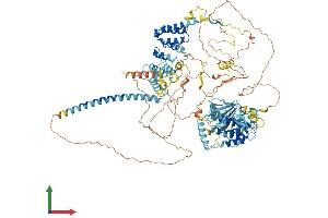 AlphaFold protein structure predicition of Human Recombinant BUB1B Protein, UniprotID O60566 (BUB1B Protein (AA 1-1050) (His tag))