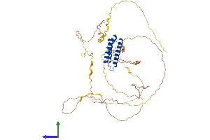 Protein Structure (PS) image for BCL2-Associated Athanogene 4 (BAG4) (AA 1-457) protein (His tag) (ABIN7559364)