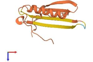 DIRAS1 Protein (AA 1-110) (His tag)