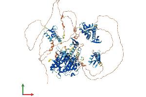 AlphaFold protein structure predicition of Human Recombinant ADAR Protein, UniprotID P55265 (ADAR Protein (AA 1-1226) (His tag))