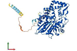 Protein Structure (PS) image for Acid Phosphatase-Like 2 (ACPL2) (AA 1-480) protein (His tag) (ABIN7555106)
