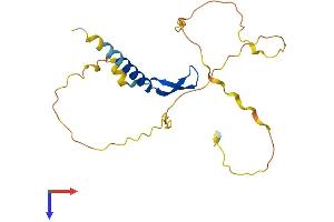 BCL7C Protein (AA 1-217) (His tag)