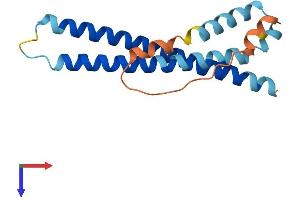 Protein Structure (PS) image for WAS Protein Homolog Associated with Actin, Golgi Membranes and Microtubules Pseudogene 3 (WHAMMP3) (AA 1-153) protein (His tag) (ABIN7545129)