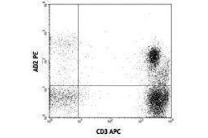 Flow Cytometry (FACS) image for anti-5'-Nucleotidase, Ecto (CD73) (NT5E) antibody (PE) (ABIN2663575) (CD73 antibody  (PE))