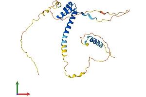 Protein Structure (PS) image for Paired Related Homeobox 1 (PRRX1) (AA 1-245) protein (His tag) (ABIN7550998)