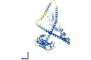 Protein Structure (PS) image for TNF Receptor-Associated Factor 5 (TRAF5) (AA 1-557) protein (His tag) (ABIN7544674)