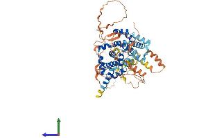 AlphaFold protein structure predicition of Human Recombinant TBC1D3L Protein, UniprotID B9A6J9 (TBC1D3L (AA 1-549) protein (His tag))